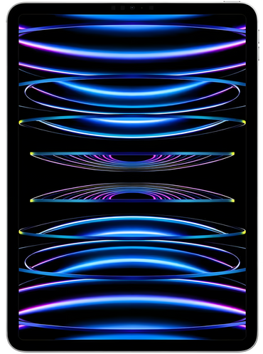 iPad Pro 11 (2022) 4e génération - WiFi